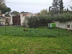 Omlet Eglu Cube grande pollaio e Omlet recinzione per polli in giardino