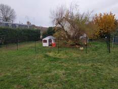 Un grande giardino con un recinto per polli e un pollaio dietro