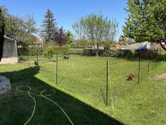 Impostazione di recinzione del pollo in un giardino