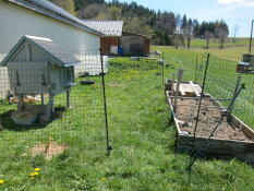 Una grande area per i polli dietro un recinto per polli con un pollaio dipinto di bianco all'interno