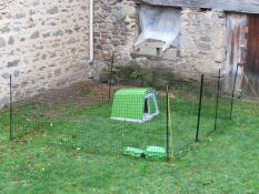 Omlet verde Eglu Go pollaio di plastica e Omlet recinzione per polli in giardino