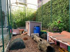 All'interno di Omlet walk in guinea pig run