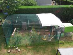 Omlet verde Eglu Cube grande pollaio collegato a Omlet walk in chicken run