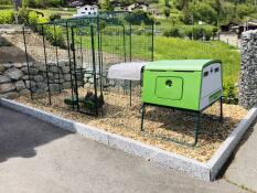 Un grande pollaio verde Omlet con una pista attaccata e galline all'interno