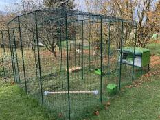 3x3 walk in Omlet chicken run con un verde Cube pollaio