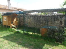 Un grande catio coperto con un capannone all'interno