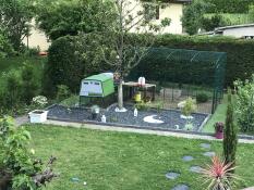Un giardino paesaggistico con un grande verde Cube pollaio e una passeggiata in esecuzione allegato