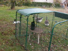 Il nostro recinto per conigli Omlet