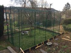 Una grande passerella verde allestita in un giardino per un gatto