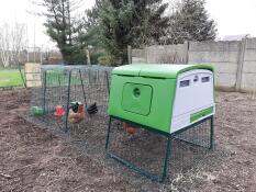 Un grande pollaio verde Cube con una pista attaccata e galline all'interno