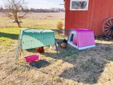 Una coop rosa con una pista di due metri