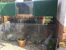 Omlet walk in chicken run con Omlet covers