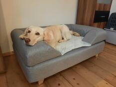 Topology letto per cani memory-foam grande