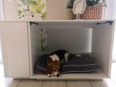 Cane che dorme in Omlet Fido Nook