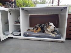 Nicchia Fido Nook con mobile