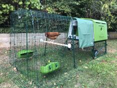 Un verde Eglu Cube con una pista attaccata e una copertura sopra, con un pollo appollaiato su un palo di legno all'interno