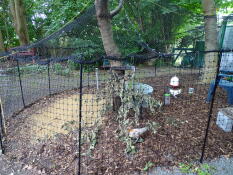 Omlet recinzione per polli