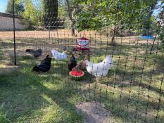 Si integra bene con il giardino.