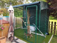 Omlet catio esterno con gatto all'interno