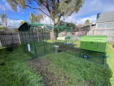 3 x 5 x 2 camminate in corsa con Eglu Cube