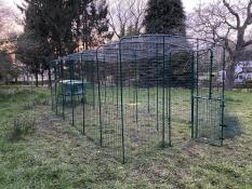 Corsa del pollo 3 x 4 x 2 con estensione