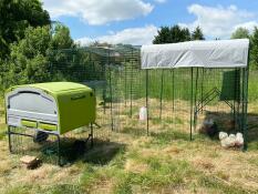 Una coop verde collegata al lato di una grande passerella
