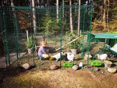 Eglu run: galline felici