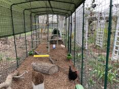 Vita da coop