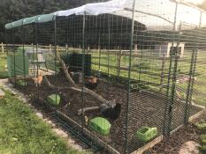La nostra pista è ora 6x3x2 e i polli la adorano!