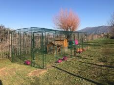Recinto per galline