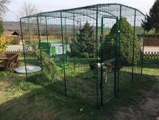 Una grande passeggiata in esecuzione con un Cube grande pollaio verde allegato