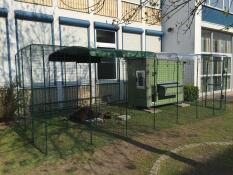 Il nostro recinto per i polli della scuola