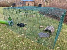 Due conigli nel loro recinto collegato a un tunnel verde