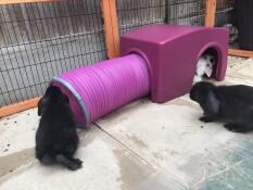 I bambini amano il loro nuovo giocattolo.