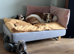 Provare il mio cuscino giallo 💤💤💤💤