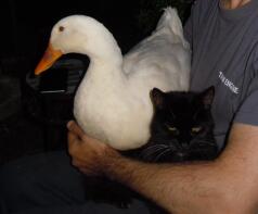 Lui e Sasha finalmente felici