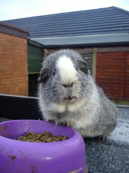 Tom la mia cavia! :-)