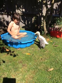 Oi questa è la nostra piscina per bambini