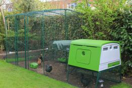 Un grande verde Eglu Cube pollaio con una passeggiata in esecuzione allegato e polli all'interno
