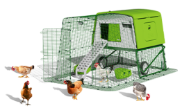 Eglu Cube pollaio