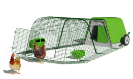 Eglu Go pollaio