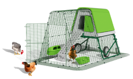Eglu Go up pollaio