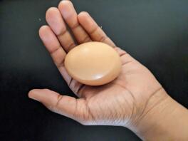 Uovo rosso del rhode island maturo.