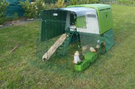 Omlet verde Eglu Cube grande pollaio e corsa