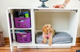 Una pozzanghera stesa su un Fido Classic dentro un Fido Studio con armadio