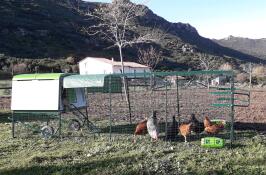 Un grande pollaio verde Cube con una corsa attaccata e coperture sopra