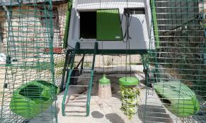 Omlet verde Eglu Cube grande pollaio e corsa con Omlet Caddi porta dolcetti e Omlet giocattolo da beccare
