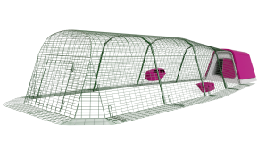 Casa per galline Eglu Go con recinto da 4 metri - Viola