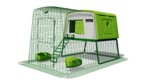 Casa per galline Eglu Cube con recinto da 2 metri - Verde foglia