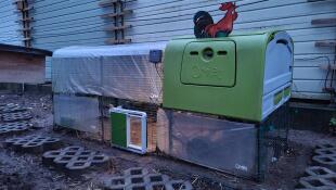 Verde Eglu Cube grande pollaio e correre con Omlet verde porta pollaio automatico